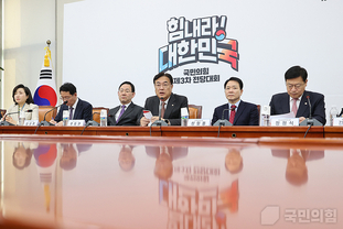 與, "이때다 싶어 반일몰이에 혈안인 민주당"