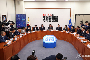 "더불어민주당은 간호법 재투표에 최선을 다하겠다"