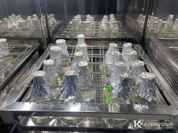 전복 원종 배양