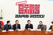 野, 강진구 대표 구속영장 기각, "검찰의 오기에 대한 법원의 질책이다"