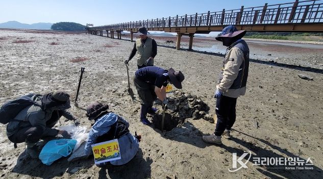 신안군, 국제적 블루카본 도시로 도약…“갯벌 탄소저장 56조 원 가치 확인”