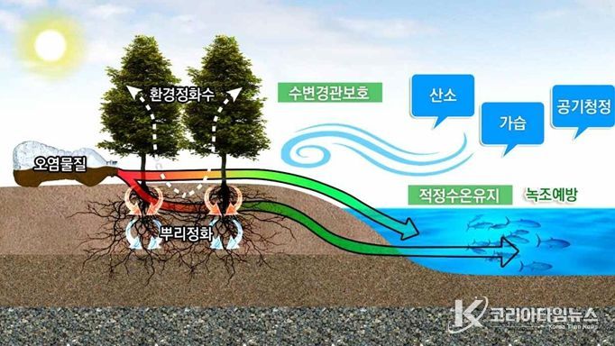 금호강 수변식생대