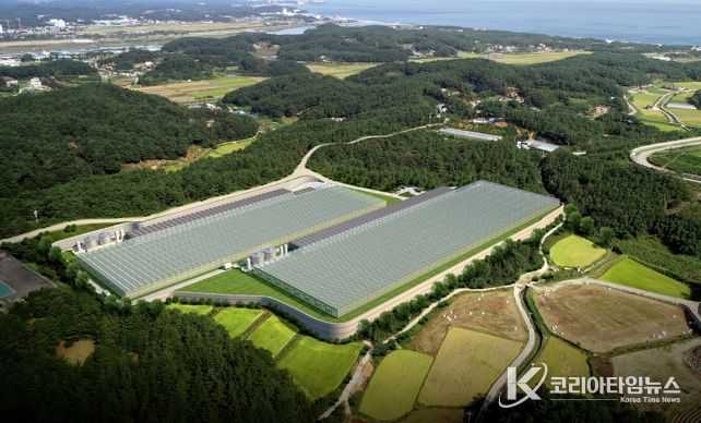 양양군, 2025년 지역특화 임대형 스마트팜 공모사업 최종 선정