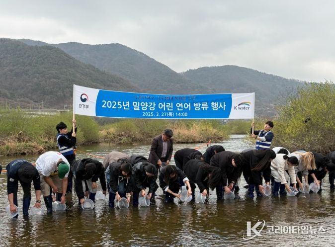 27일 밀양강에 어린 연어 방류 작업을 진행하고 있다.
