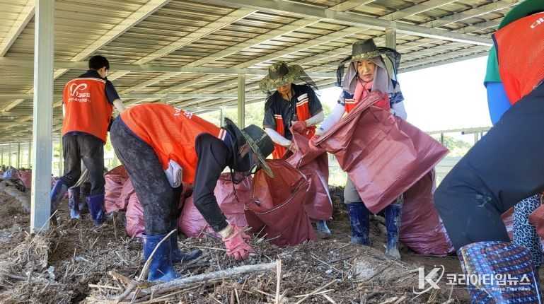 대구 남구, 산청군 신안면 수해 복구 자원봉사 실시