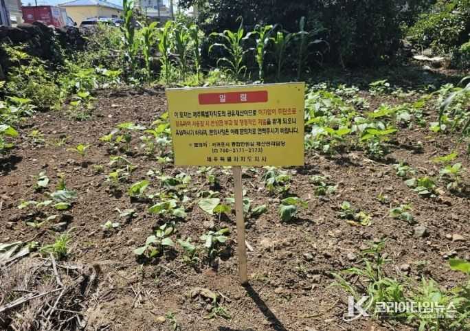 공유재산 무단 점유 방지 안내표지판