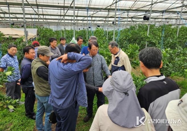 감귤 재해예방 특강