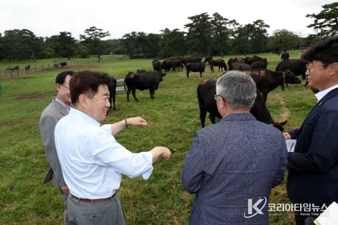제주흑우 생산 및 연구개발 관련 현장 방문한 오영훈 지사