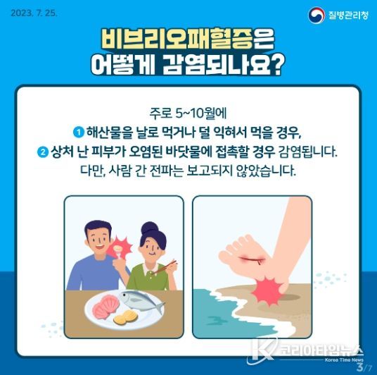 비브리오패혈증 예방 홍보물