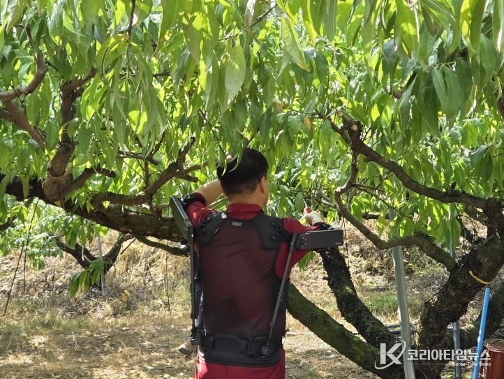 세종시, 농업인 근골격계 부담 줄이는 착용 로봇 실증