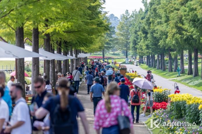 순천만국가정원 낙우송길.