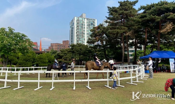 세종 도심 속 승마체험 열린다