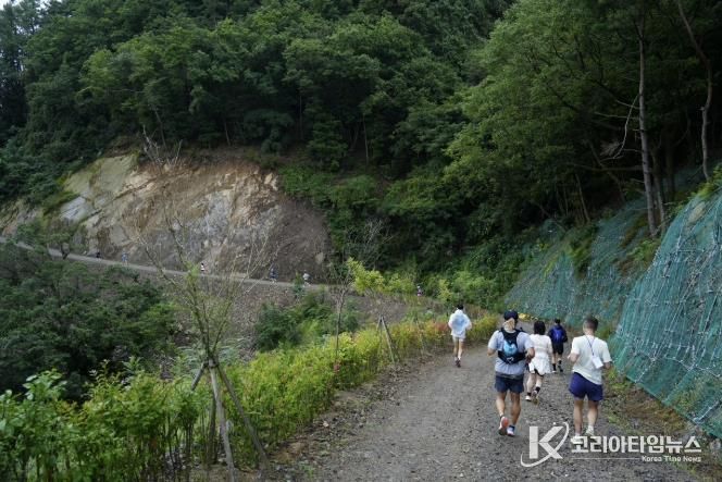 충주시, 계명산 임도 순환길 조성… 가을 숲속 힐링 명소로