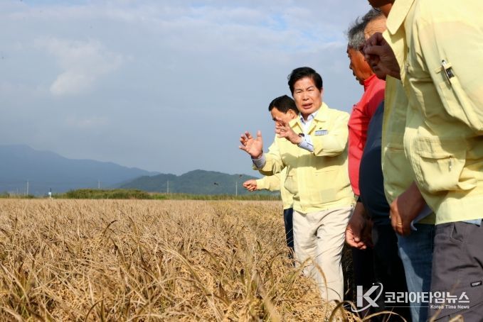 벼 깨씨무늬병, 정부 ‘농업재해’로 인정