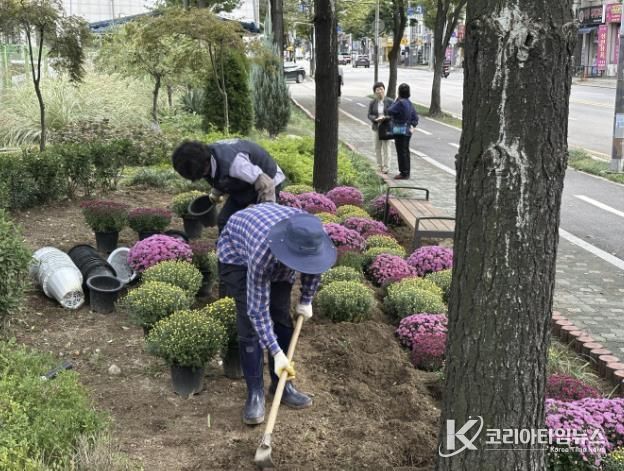 시흥시 정왕본동, 가을꽃 식재로 쾌적한 도시환경 조성 박차