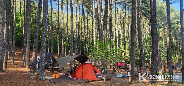 백운산자연휴양림, 금천계곡야영장, 구봉산숲속야영장 등 천혜의 자연 속 힐링명소 ‘눈길’
