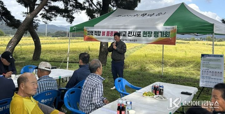 포항시는 지난 17일 신광면 죽성리 일원에서 ‘벼 품종별 비교 전시포 현장평가회’를 개최했다.