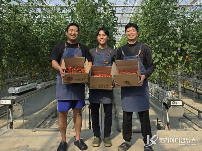 청년 농업인 스마트팜 방울토마토