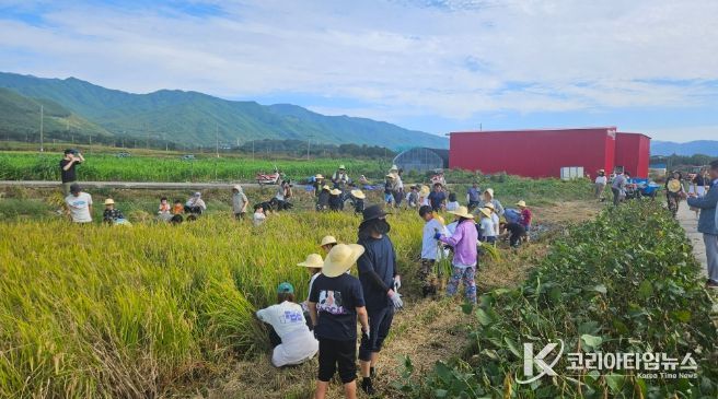 , 광의초 학생 대상 벼 수확의 기쁨 기회 제공
