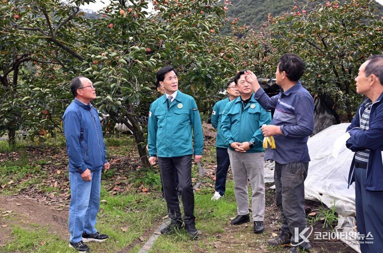 안병구 밀양시장, 상동면 떫은감 탄저병 피해 현장 방문