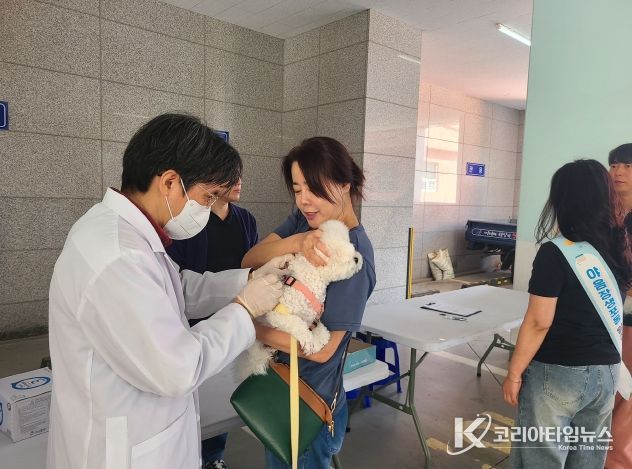 울산 남구, 2025년도 하반기 광견병 예방접종 실시
