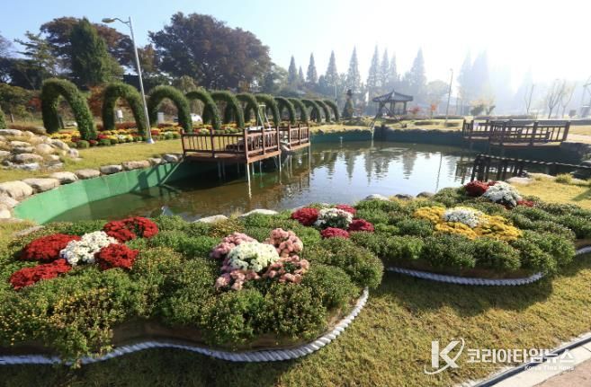 2024년 국화 축제 사진