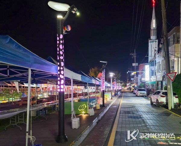 창녕군, 제39회 비사벌문화제 대비 가로등·보안등 야간 점검 실시
