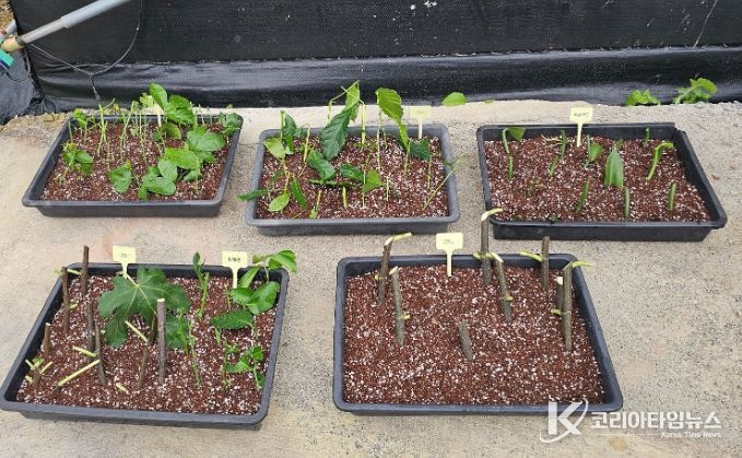 기후대응 아열대작목 도입을 위한 관·학 협력