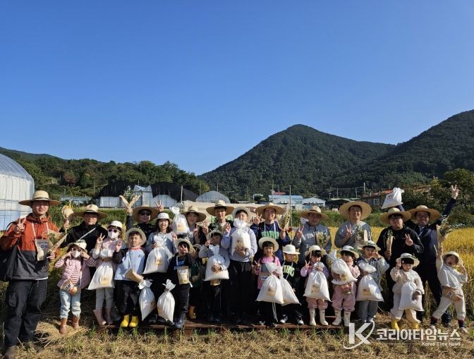 아빠와 아이가 함께한 가을의 추억, 벼 수확 체험