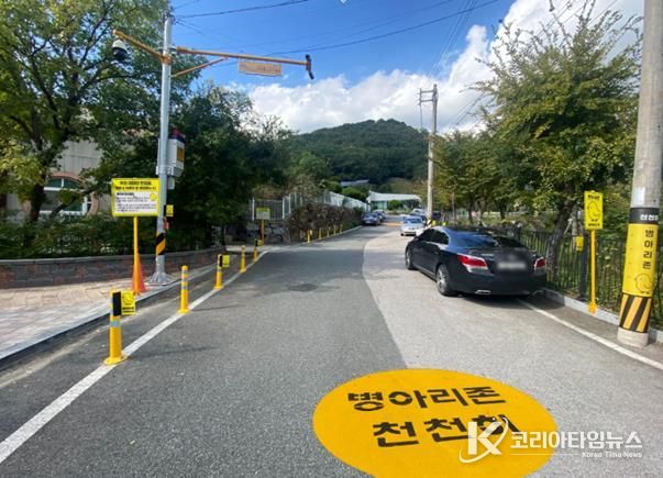 병아리존 사진