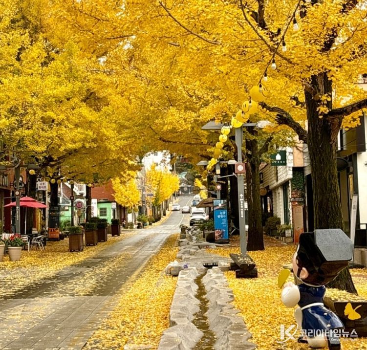 가을감성 가득한 ‘은행나무아래로’ 축제 개막