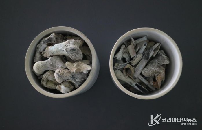 2005년 3월 경상북도 포항시 북구 흥해읍 도음산 정상에서 발굴한 국군 제8사단 10연대 소속의 고(故) 양이한 일병의 유해