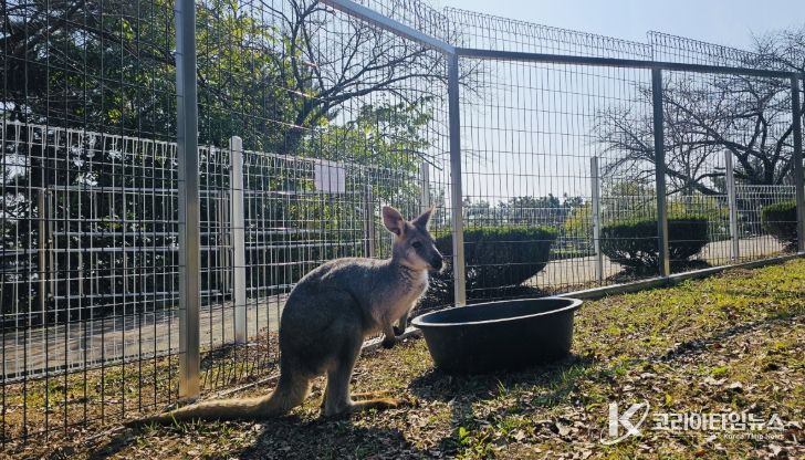 진주시 진양호동물원