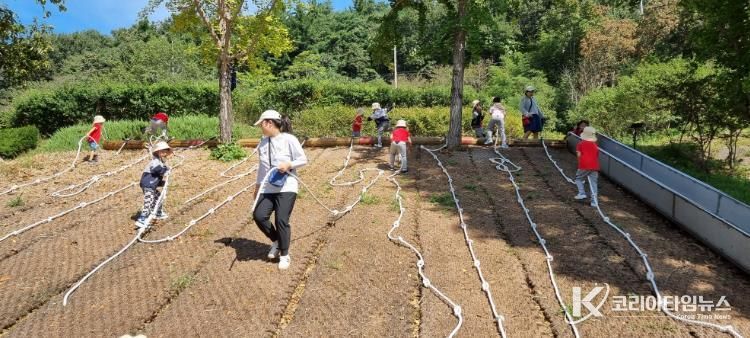고령군 유아숲체험원 행복한 숲속 배움터로 인기