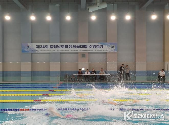 태안교육지원청, 제34회 충청남도학생체육대회서 우수성적 거둬