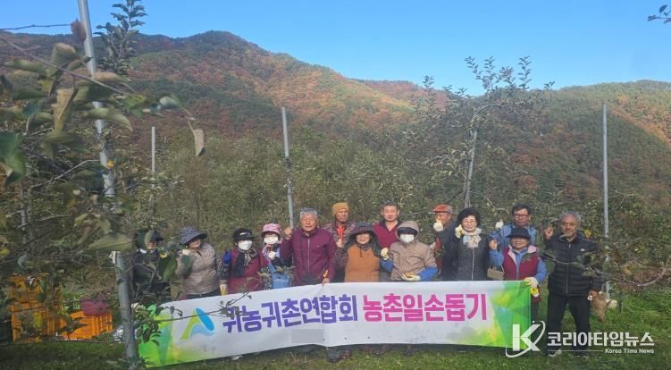 거창군 귀농귀촌인연합회, 사과 수확 일손돕기 봉사활동 펼쳐