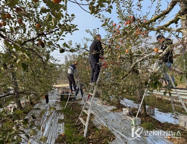 주택관리공단 대구경북지사, 농촌 일손돕기