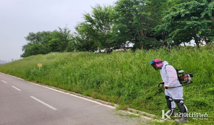 청주시, 무심천 등 국가하천 풀깎기 정비사업 완료