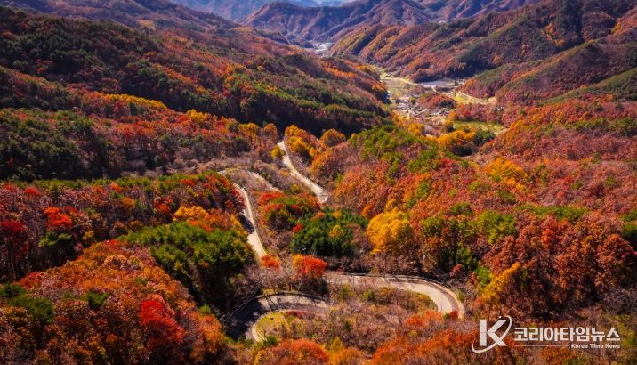 영동의 대표 관광명소 ‘도마령’