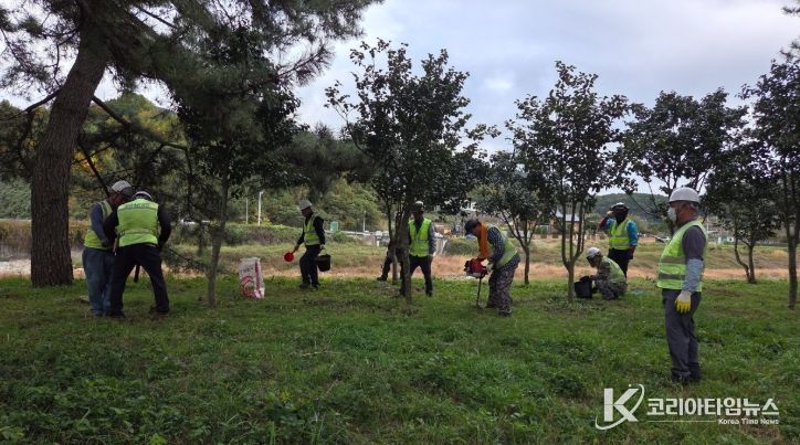 광양시, 가로수 종합 정비
