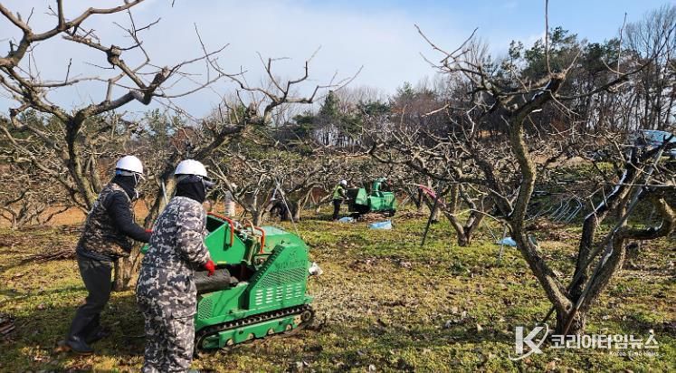 영암군, 내년 영농부산물 안전처리 지원사업 신청 접수