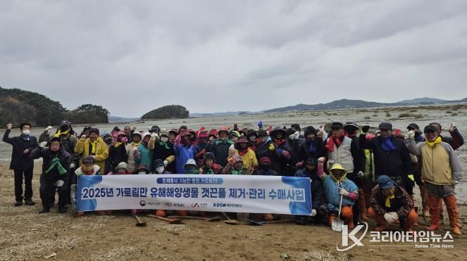 지난 18일 지곡면 도성리, 대요리 일원 갯벌에서 진행된 갯끈풀 제거 작업