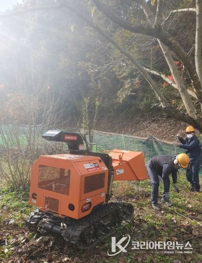 곡성군 파쇄지원단 활동 모습