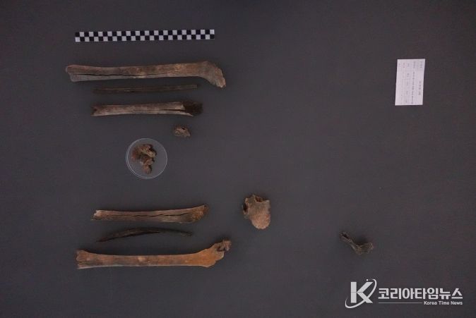 2024년 11월 대구광역시 군위군에서 발굴된 고(故) 구자길 일병의 유해