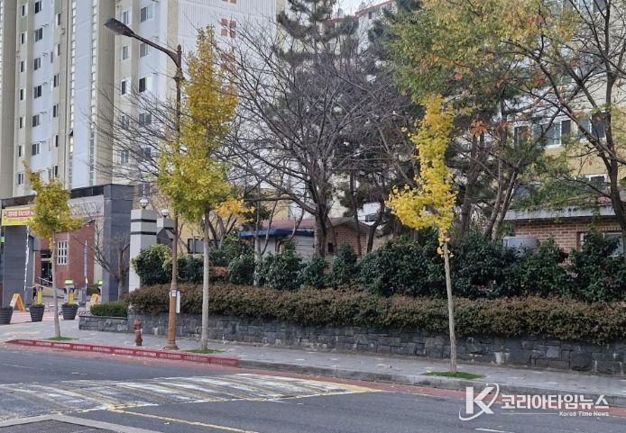 잔디 보호덮개 설치로 쾌적한 가로 경관 조성