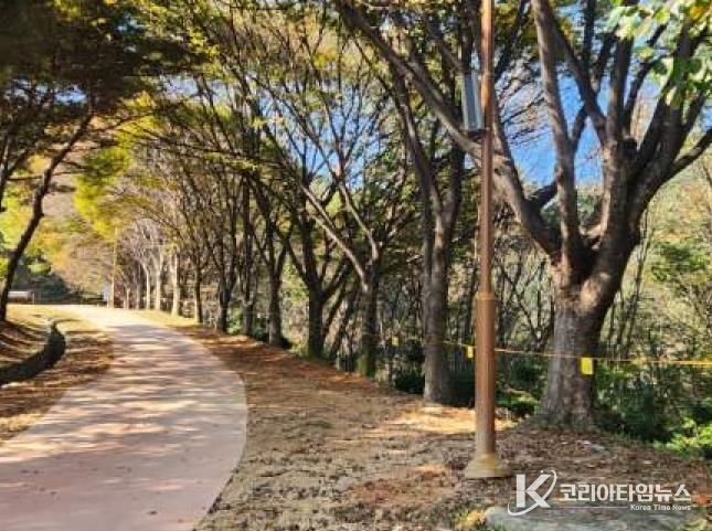 보행로 보수 후