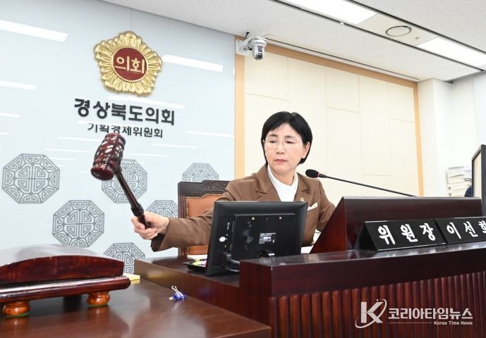 기획경제위 회의장에서 회의를 진행하는 이선희위원장