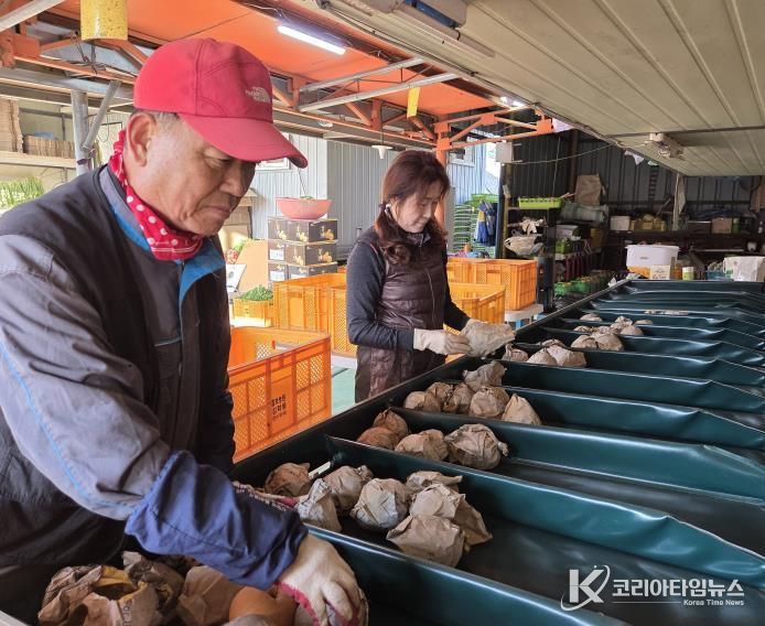 (왼쪽)김학용 세종시과수연합회장