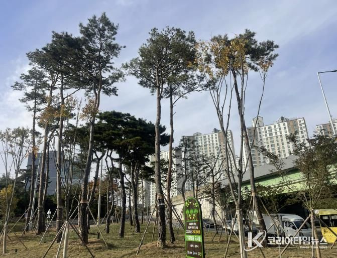 청주시, 도시숲 조성 2개소서 완료… 열섬완화‧미세먼지 저감 기대