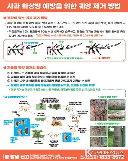 철저한 과원 관리로 과수화상병 사전 예방 당부